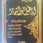 أباطيل وأسمار - محمود شاكر -