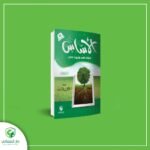 الأساس (المستوي الأول)