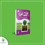 الأساس (المستوي الثالث)