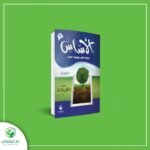 الأساس (المستوي الثاني)