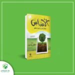 الأساس (المستوي الرابع)