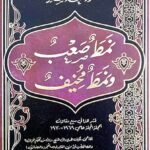 نمط صعب ونمط مخيف  - محمود شاكر -